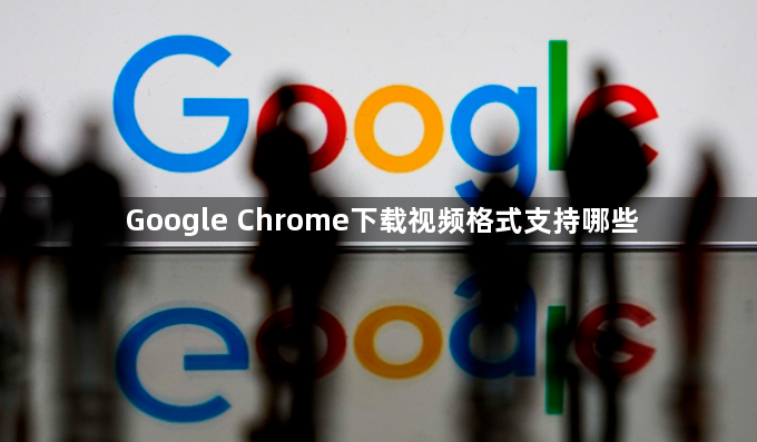 Google Chrome下载视频格式支持哪些1