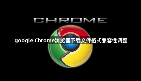 google Chrome浏览器下载文件格式兼容性调整1