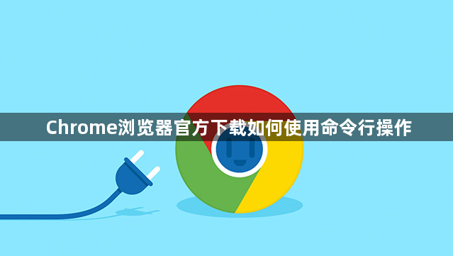 Chrome浏览器官方下载如何使用命令行操作1
