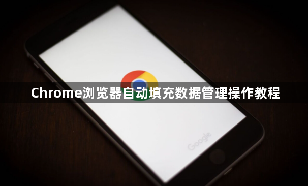 Chrome浏览器自动填充数据管理操作教程1