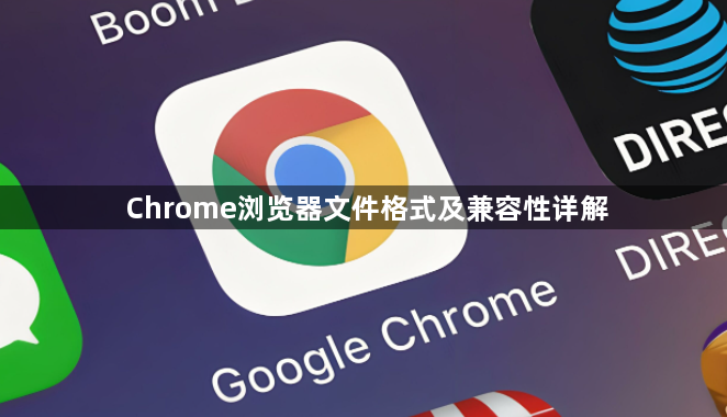 Chrome浏览器文件格式及兼容性详解1
