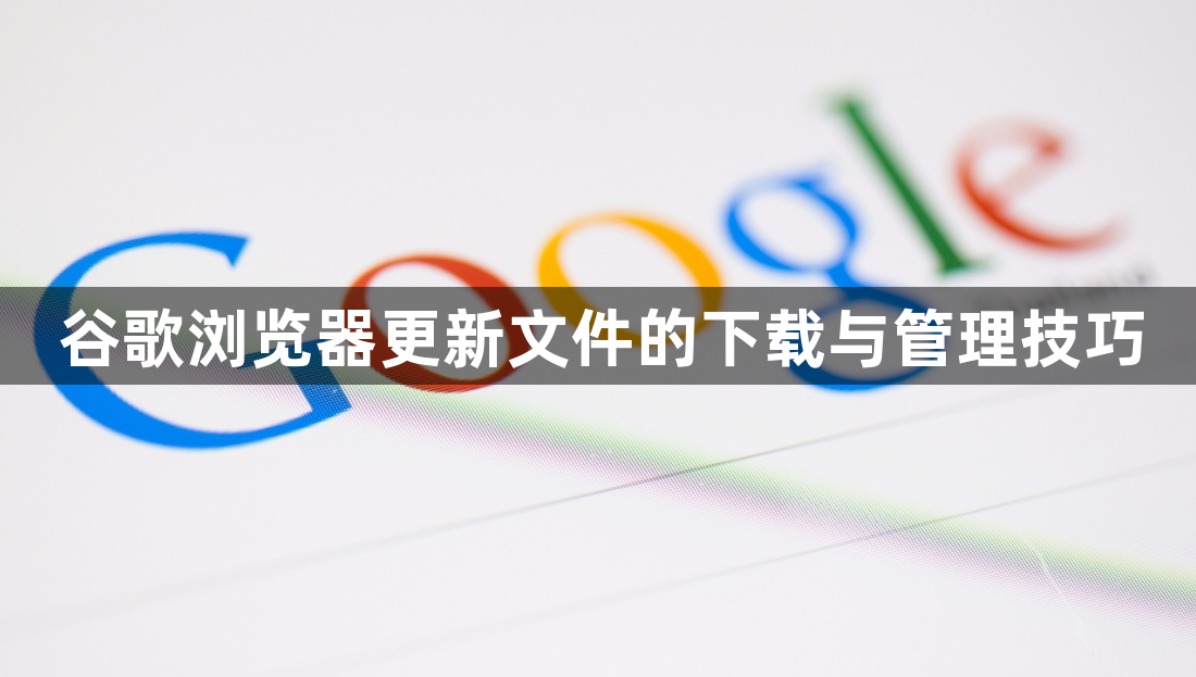 谷歌浏览器更新文件的下载与管理技巧1