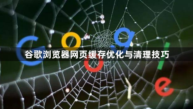 谷歌浏览器网页缓存优化与清理技巧1