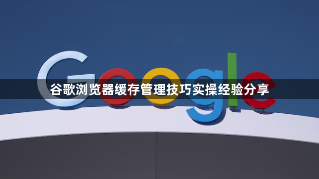 谷歌浏览器缓存管理技巧实操经验分享1