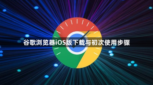 谷歌浏览器iOS版下载与初次使用步骤1