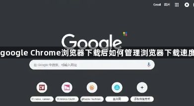 google Chrome浏览器下载后如何管理浏览器下载速度1