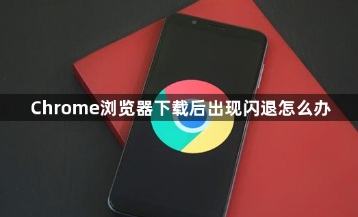 Chrome浏览器下载后出现闪退怎么办1