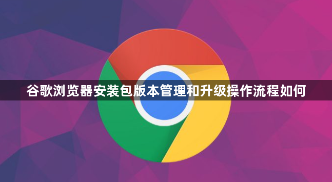 谷歌浏览器安装包版本管理和升级操作流程如何1