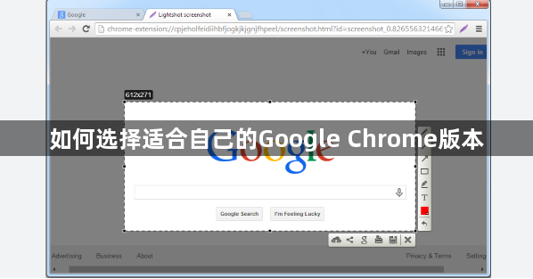 如何选择适合自己的Google Chrome版本1