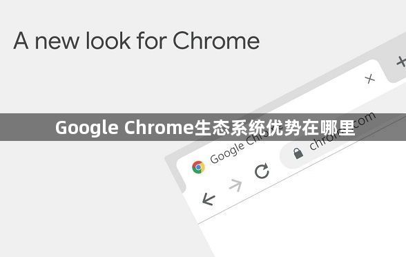 Google Chrome生态系统优势在哪里1
