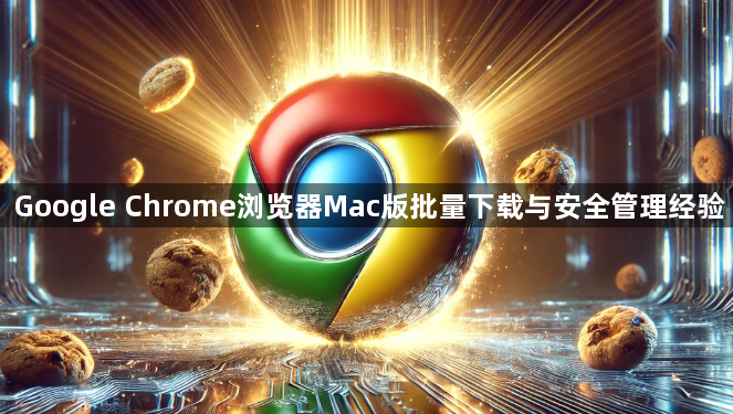 Google Chrome浏览器Mac版批量下载与安全管理经验1