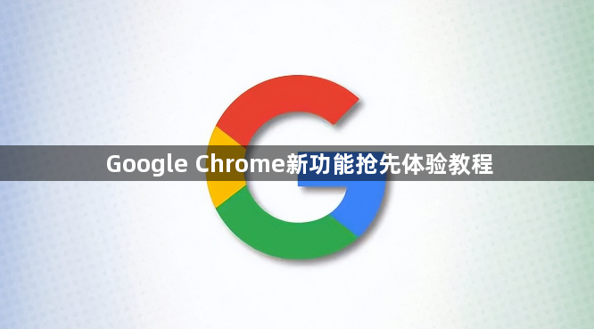 Google Chrome新功能抢先体验教程1