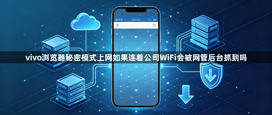 vivo浏览器秘密模式上网如果连着公司WiFi会被网管后台抓到吗1